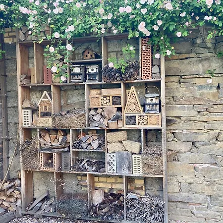 Rosencottage By Interhome Willa Heyda