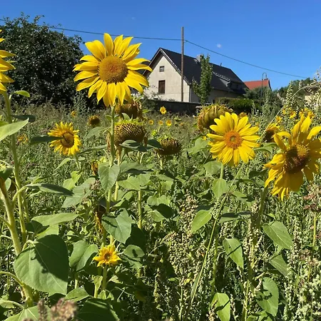 Willa Rosencottage By Interhome