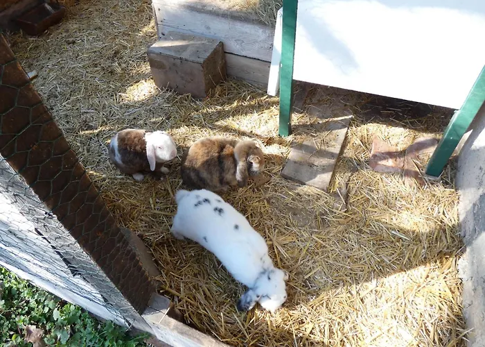 Rosencottage By Interhome فيلة *