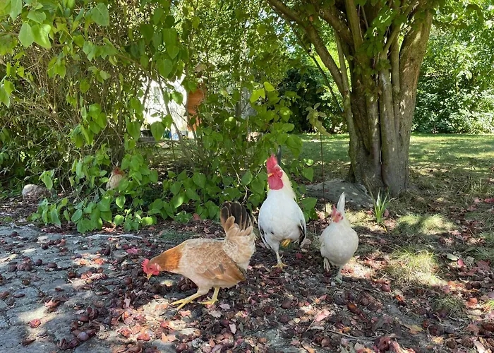 Rosencottage By Interhome فيلة *