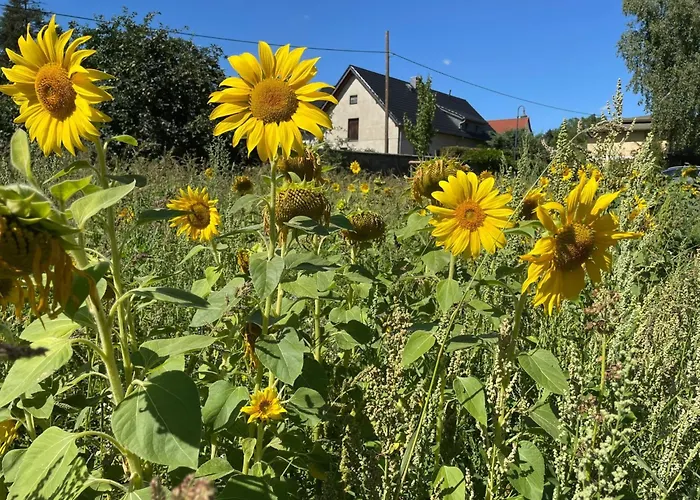 فيلة Rosencottage By Interhome